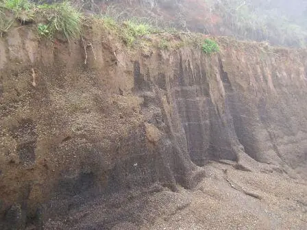 suelos aluviales