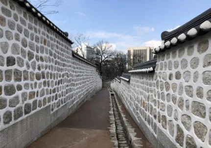 muro ultrafuerte