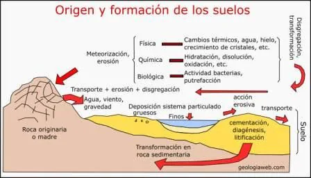 como se forman los suelos
