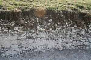 Suelo rendzina