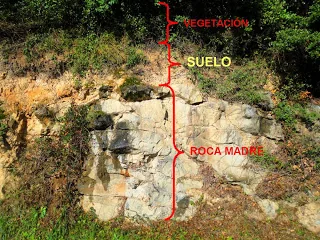 que es la roca madre