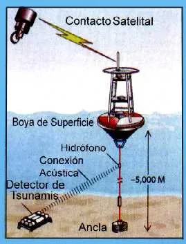 boyas tsunamicas